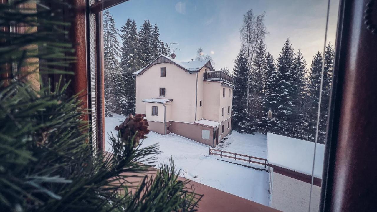 Apartmany Domino Zelezna Ruda Exterior photo