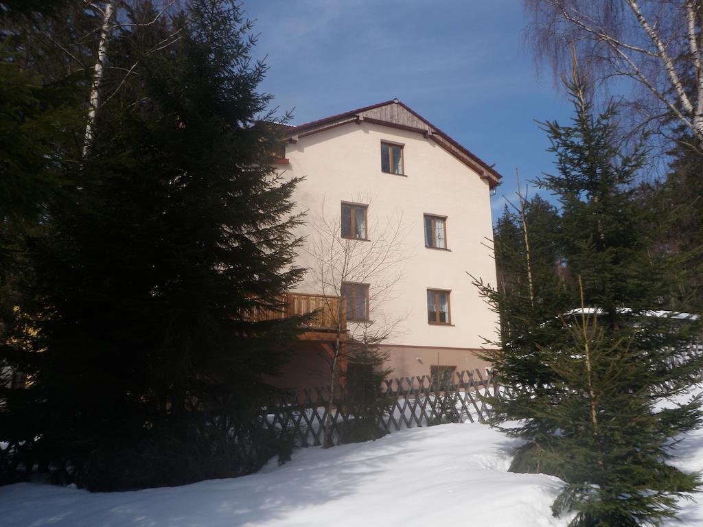 Apartmany Domino Zelezna Ruda Exterior photo