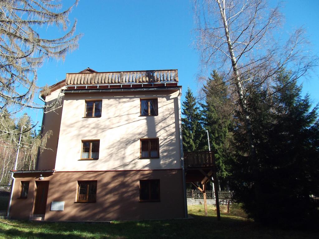 Apartmany Domino Zelezna Ruda Exterior photo